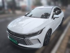 BYD Destroyer 05 Champion Edition DM-i 120KM Luxury - ფოტო 1