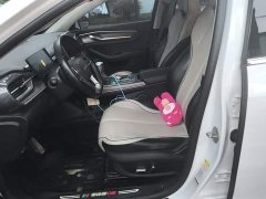 BYD Destroyer 05 Champion Edition DM-i 120KM Luxury - ფოტო 16