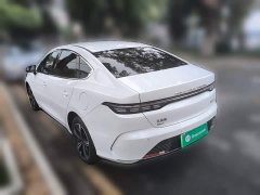 BYD Destroyer 05 Champion Edition DM-i 120KM Luxury - ფოტო 4