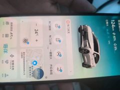BYD Destroyer 05 Champion Edition DM-i 120KM Luxury - ფოტო 9