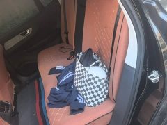 FAW Red Flag E-QM5 500km Travel Edition - ფოტო 18