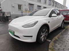 Tesla Model Y Long Range All-Wheel Drive - ფოტო 1