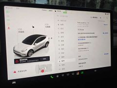 Tesla Model Y Long Range All-Wheel Drive - ფოტო 13