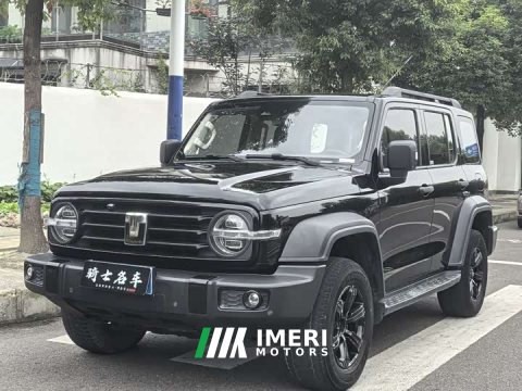 2023 Tank 300 Off-Road Edition 2.0T Challenger - ავტომობილი ჩინეთიდან