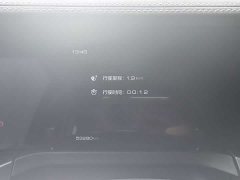 Tank 300 Off-Road Edition 2.0T Challenger - ფოტო 7