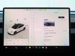 Tesla Model 3 High Performance All-Wheel Drive - ფოტო 17