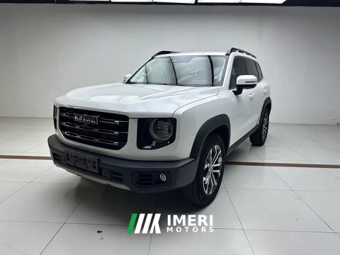 2021 Great Wall Dachshund 1.5T DCT Two-Wheel Drive Border Collie Edition - ავტომობილი ჩინეთიდან