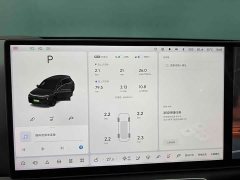 Li Auto L8 Pro - ფოტო 14