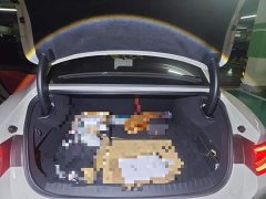Xiaomi SU7 Quad Motor Ultra-Long Range Advanced Autonomous Driving Max - ფოტო 20