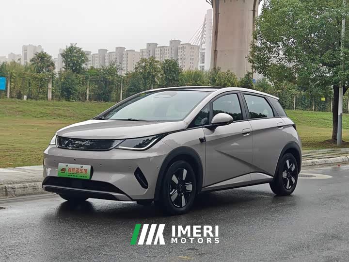 BYD Dolphin Smart Drive 410km Fashion Edition - ავტომობილი ჩინეთიდან