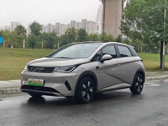 BYD Dolphin Smart Drive 410km Fashion Edition - ფოტო 1