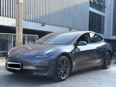 Tesla Model 3 Standard Range RWD Upgrade - фото 1