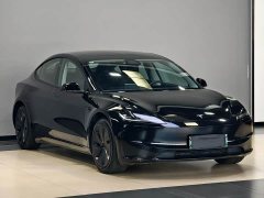 Tesla Model 3 Rear-Wheel Drive - ფოტო 3
