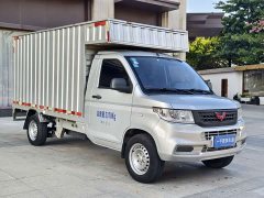 Wuling Rongguang New Truck 2.0L Single Cab Basic LJM20B - ფოტო 3