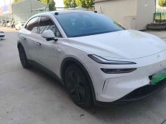 Nio Lerado L60 60kWh Rear-Wheel Drive - ფოტო 2