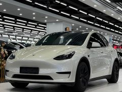 Tesla Model Y Rear-Wheel Drive - ფოტო 1