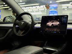 Tesla Model Y Rear-Wheel Drive - ფოტო 11