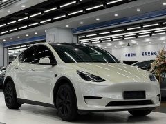 Tesla Model Y Rear-Wheel Drive - ფოტო 3