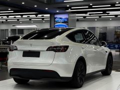 Tesla Model Y Rear-Wheel Drive - ფოტო 6