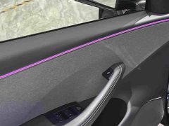 Tesla Model 3 Rear-Wheel Drive - ფოტო 7