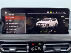 BMW X3 xDrive30i Premier M Night Package - ფოტო 10