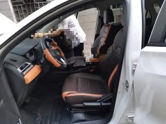 BYD e2 Luxury - ფოტო 11
