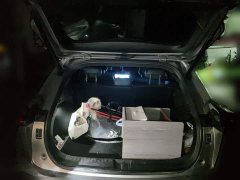 Haval Divine Beast 1.5T Smart Enjoy Edition - ფოტო 15