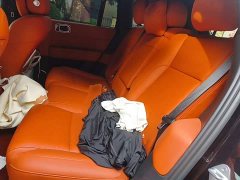 Li Auto L6 Max - ფოტო 13