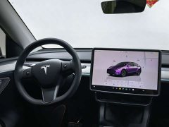 Tesla Model Y Rear-Wheel Drive - ფოტო 11