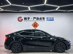 Tesla Model Y Rear-Wheel Drive - ფოტო 16
