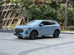 Great Wall Wei Brand Mocha 2.0T AWD Premium Edition - ფოტო 1