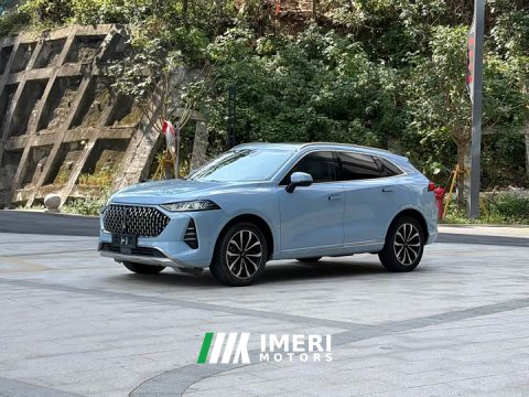2021 Great Wall Wei Brand Mocha 2.0T AWD Premium Edition - ავტომობილი ჩინეთიდან