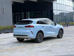 Great Wall Wei Brand Mocha 2.0T AWD Premium Edition - ფოტო 13