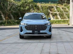 Great Wall Wei Brand Mocha 2.0T AWD Premium Edition - ფოტო 2