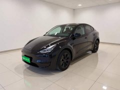 Tesla Model Y Rear-Wheel Drive - ფოტო 1