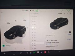 Tesla Model Y Rear-Wheel Drive - ფოტო 8