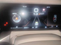 GWM Tank 300 2.0T Cyber GWM - ფოტო 14