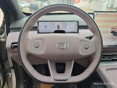 Changan Qiyuan Q05 506 Laser Ultimate Edition - ფოტო 8