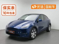 Tesla Model Y Long Range All-Wheel Drive - ფოტო 1