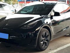 Tesla Model Y Rear-Wheel Drive - ფოტო 1
