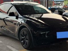 Tesla Model Y Rear-Wheel Drive - ფოტო 3