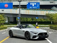 Mercedes-Benz Mercedes-AMG SL-Class AMG SL 43 European Edition - ფოტო 3
