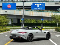 Mercedes-Benz Mercedes-AMG SL-Class AMG SL 43 European Edition - ფოტო 7