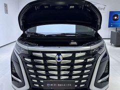Denza D9 DM-i 980 Four-Wheel Drive Premium - ფოტო 9