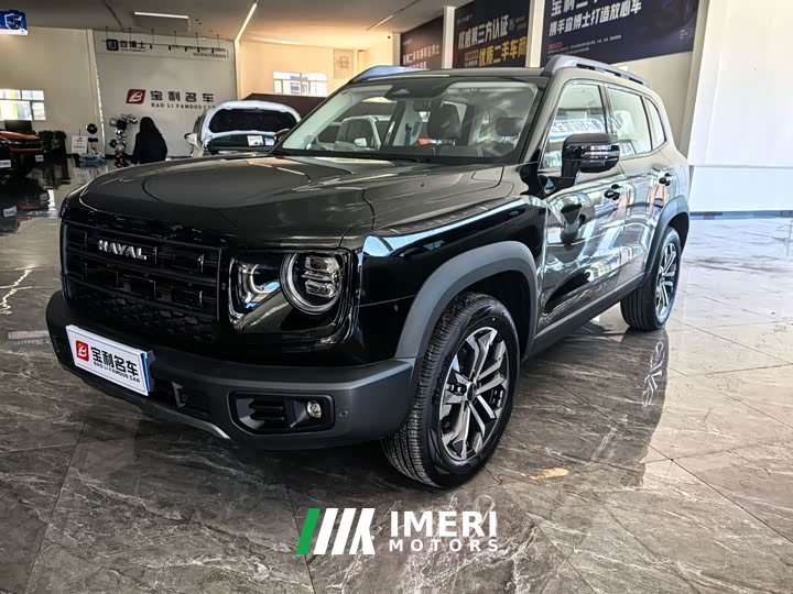 Great Wall Dachshund 1.5T DCT Border Collie Edition - ავტომობილი ჩინეთიდან