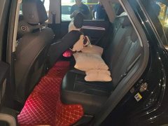 Audi Q5L 40 TFSI Luxury Dynamic - ფოტო 11