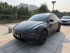 Tesla Model Y Rear-Wheel Drive - ფოტო 1