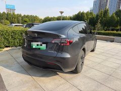 Tesla Model Y Rear-Wheel Drive - ფოტო 6