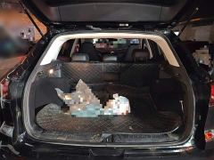 JAC Sehol QX 300T DCT Luxury Smart Connect Edition - ფოტო 15