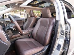 Lexus RX Facelift 300 AWD Elegance - ფოტო 11